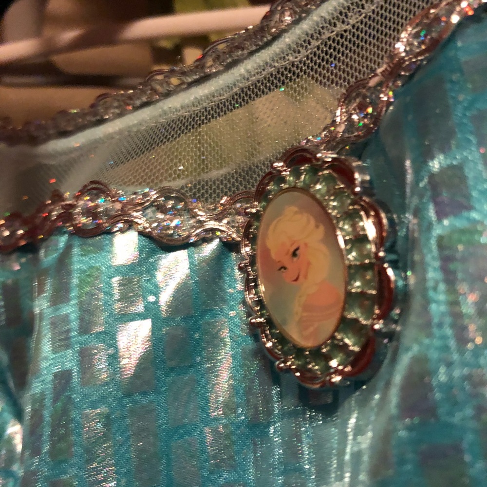Disney world purchased Elsa gown